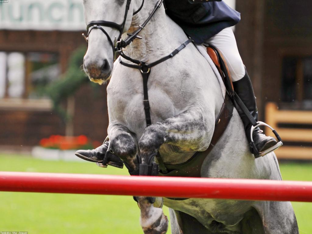 សារៈសំខាន់នៃពេលវេលានៃការប្រកួត