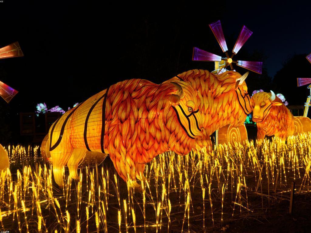 ការប្រកួតនានា: ការប្រកួតដែលមានសារសំខាន់ក្នុងសង្គម