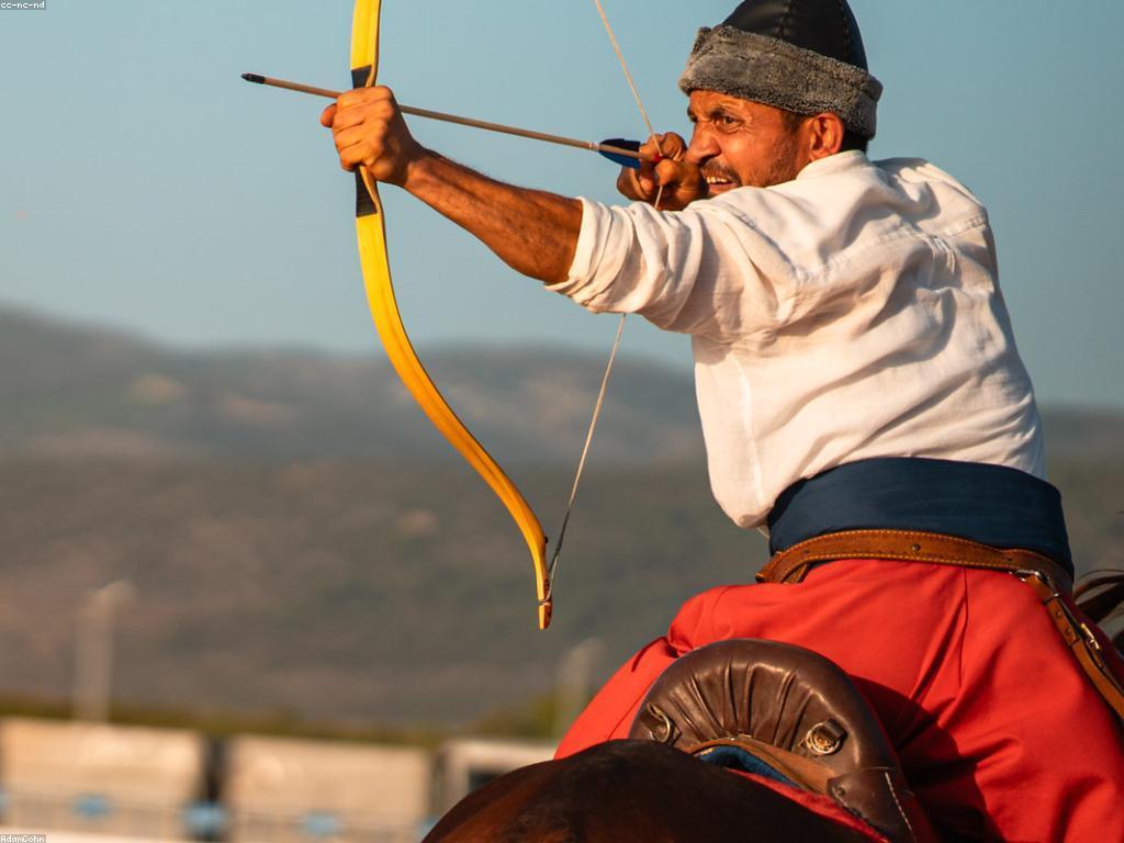 ភាពចម្រុះនៃការប្រកួតនានា